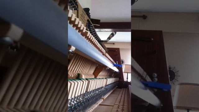 2# Accord d'un piano droit FAZER смотреть онлайн
