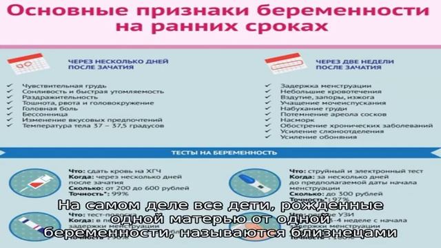На каком сроке можно определить наличие двойни – когда на УЗИ видно многоплодную беременность? смотреть онлайн