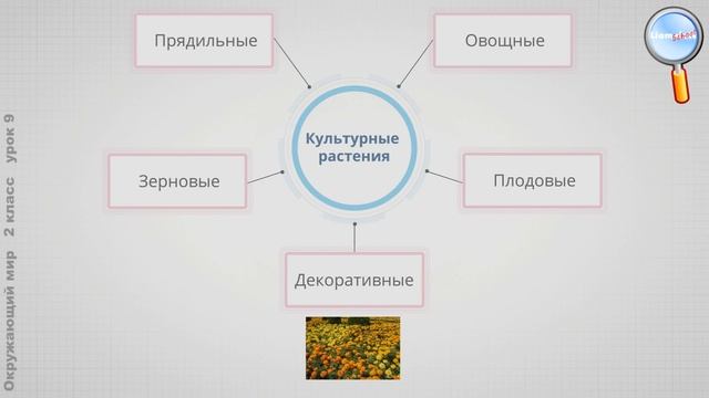 Окружающий мир 2 класс (Урок№9 - Дикорастущие и культурные растения. Дикие и домашние животные.) смотреть онлайн