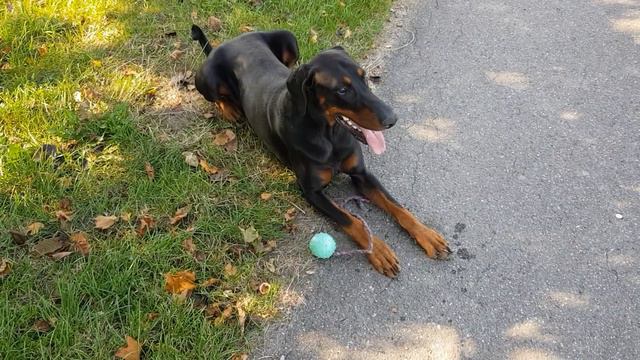 Wie Schwer Ist Jeff?