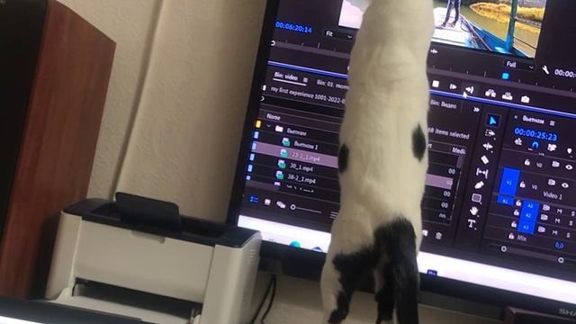 У каждого свои предпочтения. смотреть онлайн