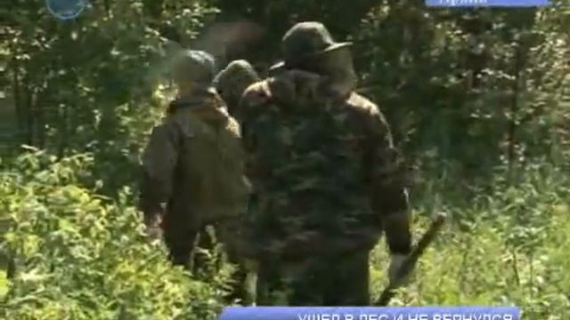 Ушёл в лес и не вернулся смотреть онлайн