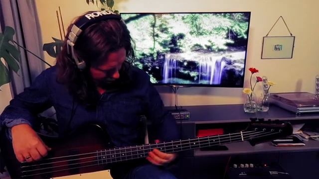 Suzanne Vega - St. Clare (bass cover) смотреть онлайн