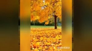 нашид на аварском