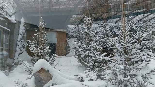 Уникальный ЗООПАРК смотреть онлайн
