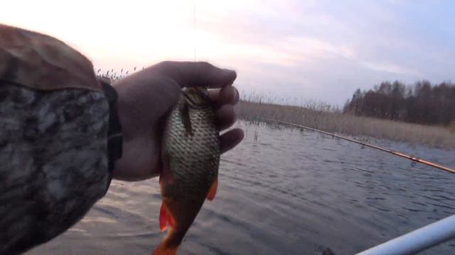 Ловля плотвы и красноперки (хорошо отдохнули) смотреть онлайн