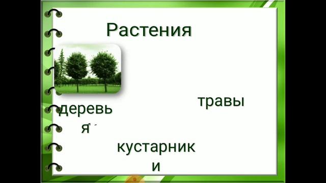 Мир природы и человека: "Растения. Строение, сходство и различие растений" смотреть онлайн