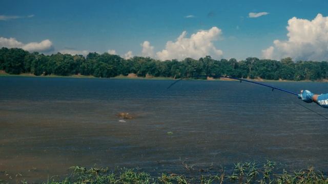 PIRARUCU | Fly fishing for giant arapaima deep in the Amazon jungle смотреть онлайн