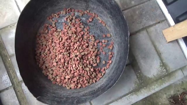 ВЛОГ Где снег?Что на даче?Что с Розами.Вереск.Туи.Грядки и т.д. В Москве зима.Что с Витязем? смотреть онлайн