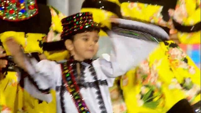 Traditional Romanian Dance - 'Trupa AS' - Romania / Romania 2016