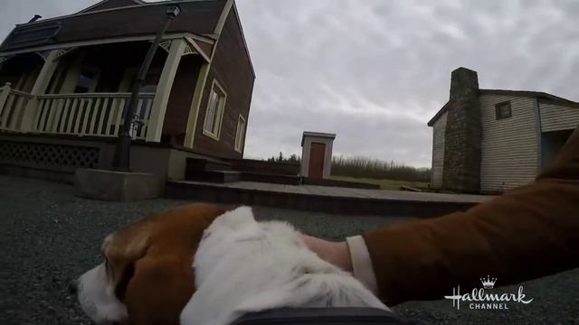 A Day in the Life… of Rip смотреть онлайн