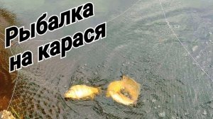 Рыбалка на паук!!! Рыбалка на карася в малых Сибирских реках!!! Ловля рыбы.