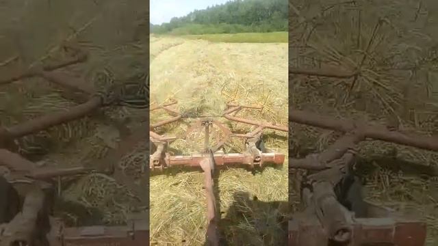 Волкование сена граблями гвв 6 смотреть онлайн