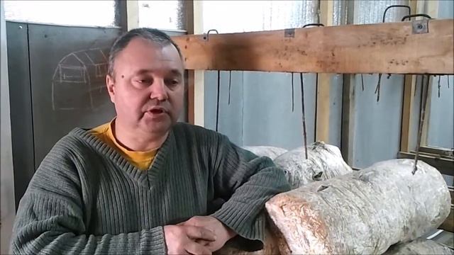 Мастер-Шеф дома