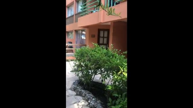 Whala! Boca Chica (Доминикана, Бока Чика) все о отеле и не только смотреть онлайн