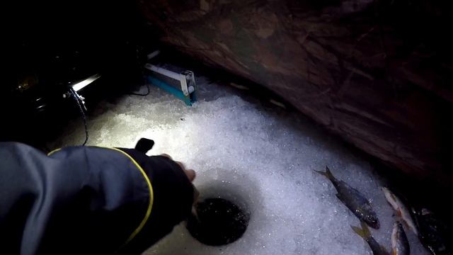 БЕШЕНЫЙ КЛЕВ НОЧНОЙ ПЛОТВЫ! Ловля плотвы зимой!!! смотреть онлайн