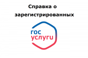 В Госуслугах можно получить справку о зарегистрированных в вашем жилье