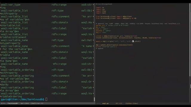 TerminusDB CLI powered by Python смотреть онлайн