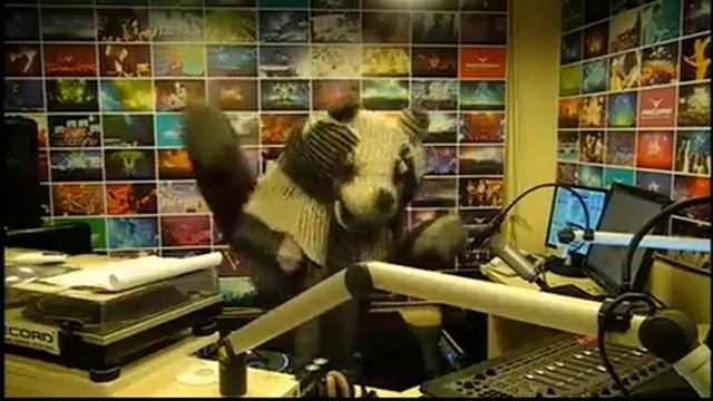 Юля Паго. Медвежонок смотреть онлайн