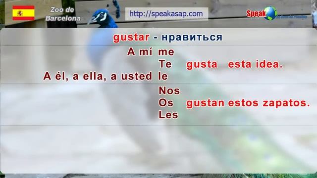 Испанский язык Урок 4/29. Испанские глаголы типа Gustar. Грамматика испанского языка. Шипилова.
