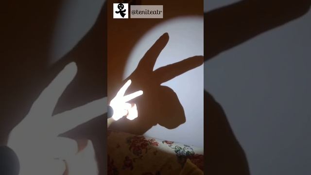 Ручные тени смотреть онлайн