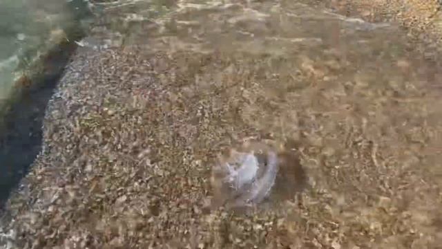 Краткий обзор пляжа в Орловке.Уходенный песочный пляж в Крыму.Недалеко от Севастополя.