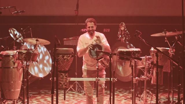 Daneel Sayegh The Groovy Cat by PAWSA Cover смотреть онлайн