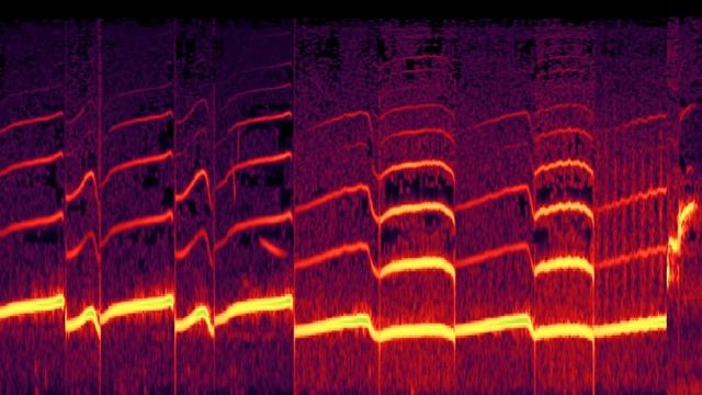 A.I. Experiments: Bird Sounds смотреть онлайн