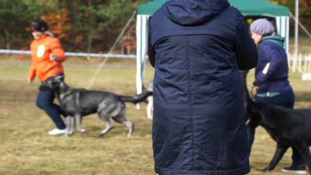 сравнение юниоров 1 часть