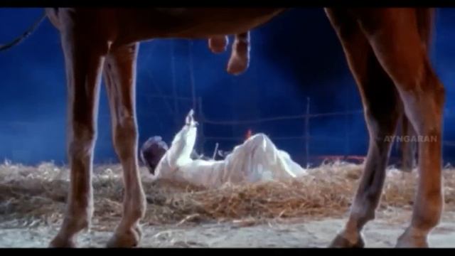 Dharmadurai | Dharmadurai full Tamil Movie Songs | Maasi Masam Alana Ponnu Video song | Ilaiyaraja смотреть онлайн