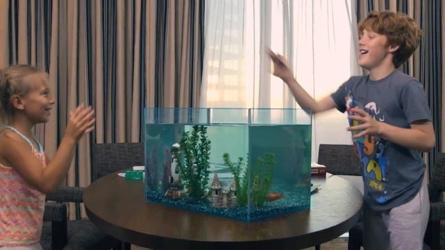 Всегда на связи с близкими с телефонами Panasonic DECT смотреть онлайн