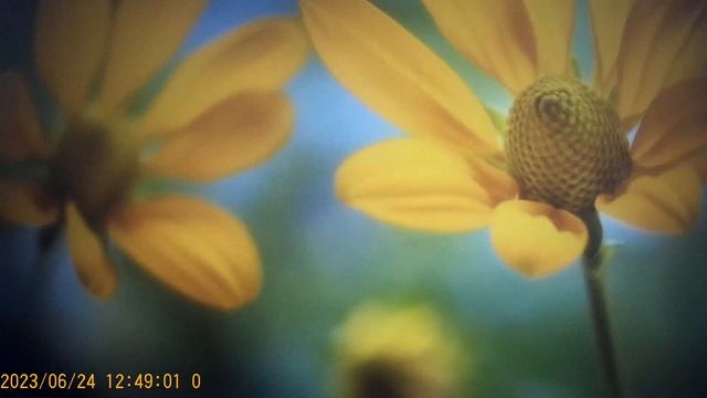 ЩепоТОЧКА перца - ледяной голосок , приправлен ядовитым сиропом смотреть онлайн