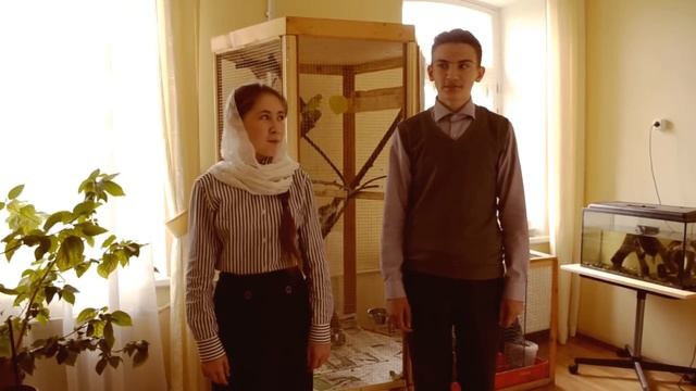 Преподобный Сергий любит нашу школу смотреть онлайн