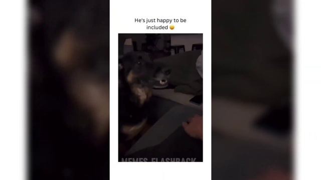 Fails |Fails of The Week Compilation |Try Not To Laugh| Like a Boss Compilation| Instant Regret #8 смотреть онлайн