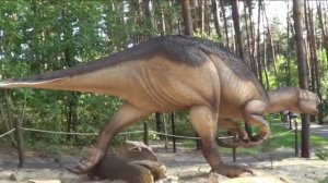 Дино Парк. Открытие Дино Парка в Белгороде.