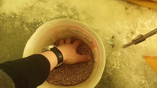 3 февраля 2021 г. Глухозимье. ВИЗ. Екатеринбург. смотреть онлайн