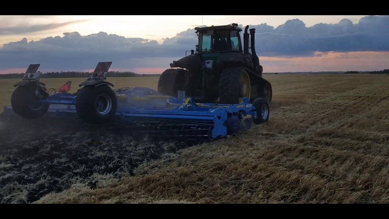 Лущильник Софтер дисками полностью разделывает стерню смотреть онлайн