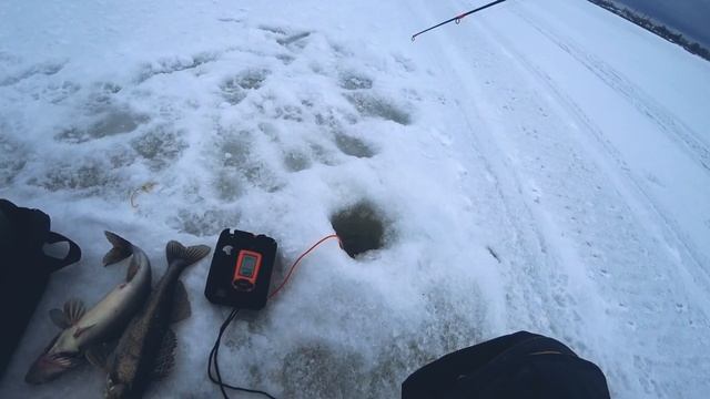 Иван Климов Ушел от всех и НАПОРОЛ СУДАКА. Ловля судака на вибы. смотреть онлайн