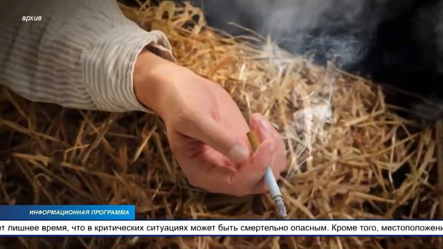 Более 1000 жителей восточный Эстонии в марте месяце пытались вызвать полицию по неправильному номер смотреть онлайн