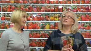 Томаты от "Сибирского сада". Самые крупноплодные сорта