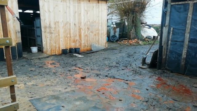 дочь родила от отца. откорм на горохе забой в 7 месяцев смотреть онлайн