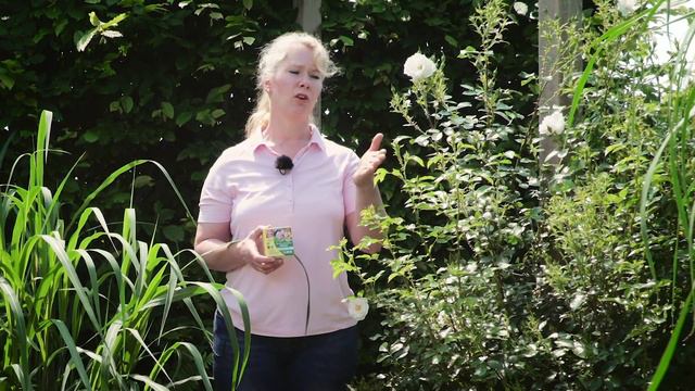 Blattläuse - Was tun gegen die lästigen Schädlinge? смотреть онлайн