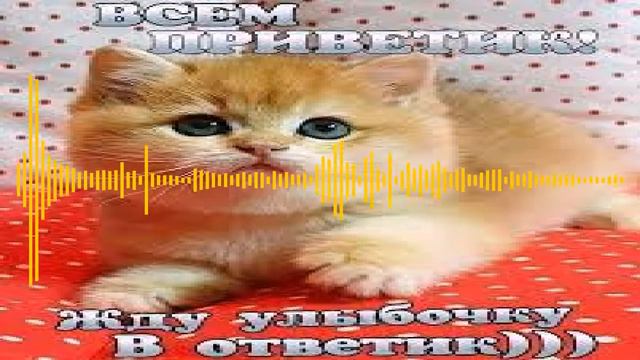 МС ПОХ — Приветик смотреть онлайн