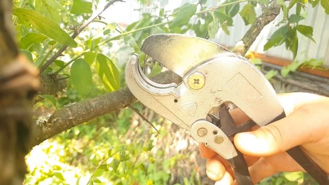 Смышленные навыки умного мастера