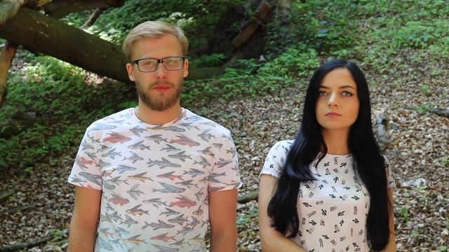 Жизнь в Польше/поиск квартиры/перевоз кота за границу/Труймясто/ смотреть онлайн