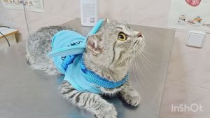 Видео 17. Часть 2. Прошли вет.станцию! Отправляемся в путь ..!) 😻