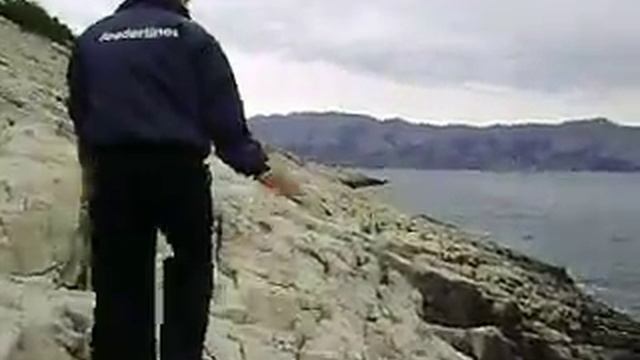 komarča sparus aurata 2.avi смотреть онлайн