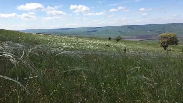 Встреча смотреть онлайн