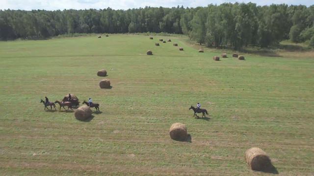 Конный клуб 