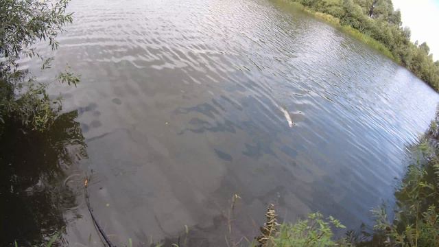 попутно смотреть онлайн